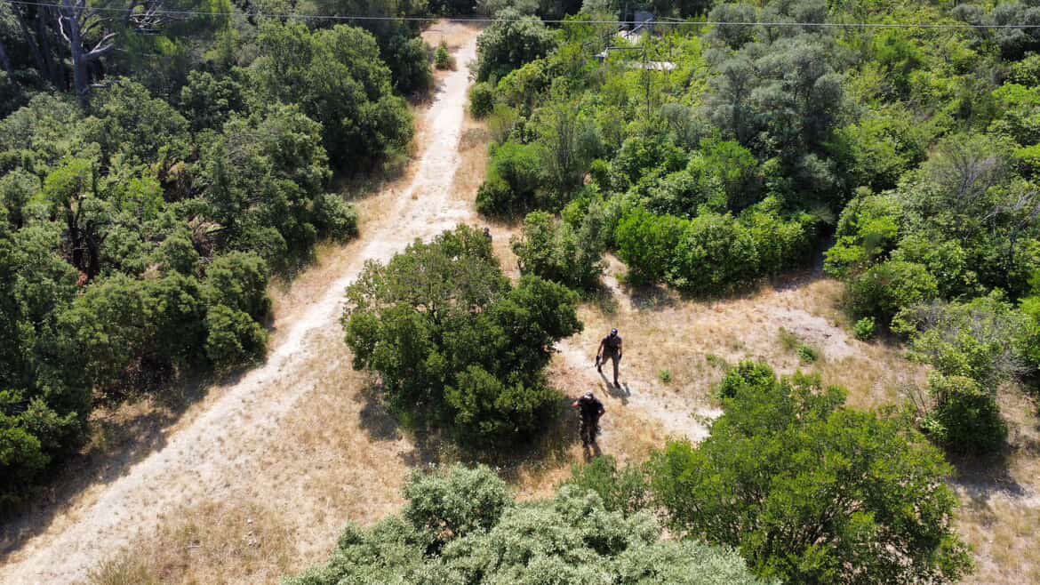 Zone de jeu - garrigue provençale