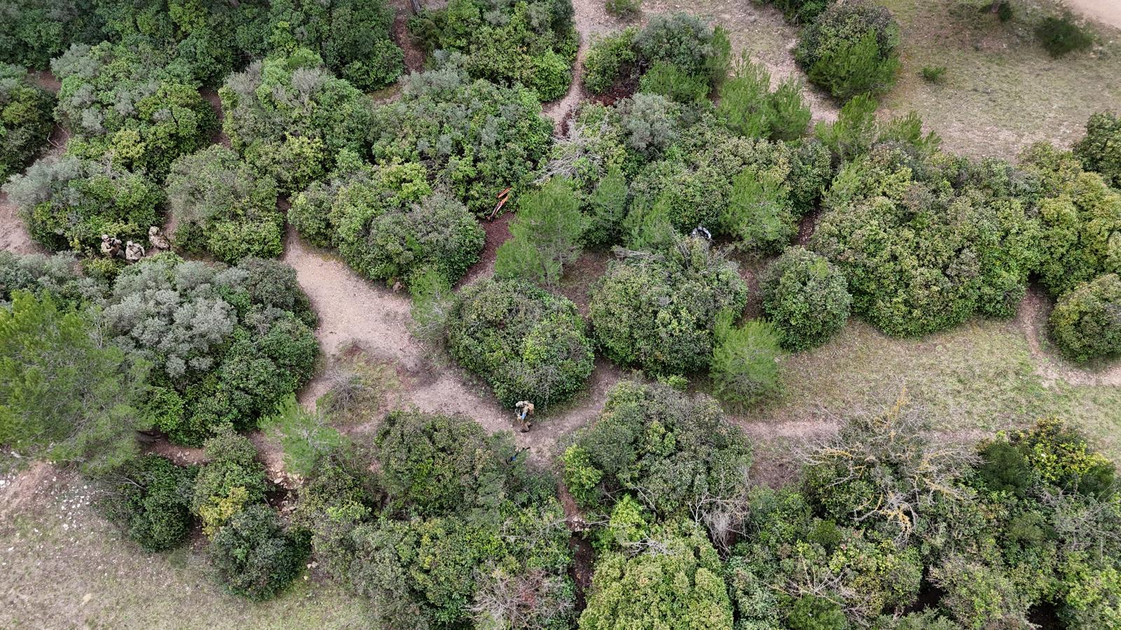 Zone CQB végétale vue du drone