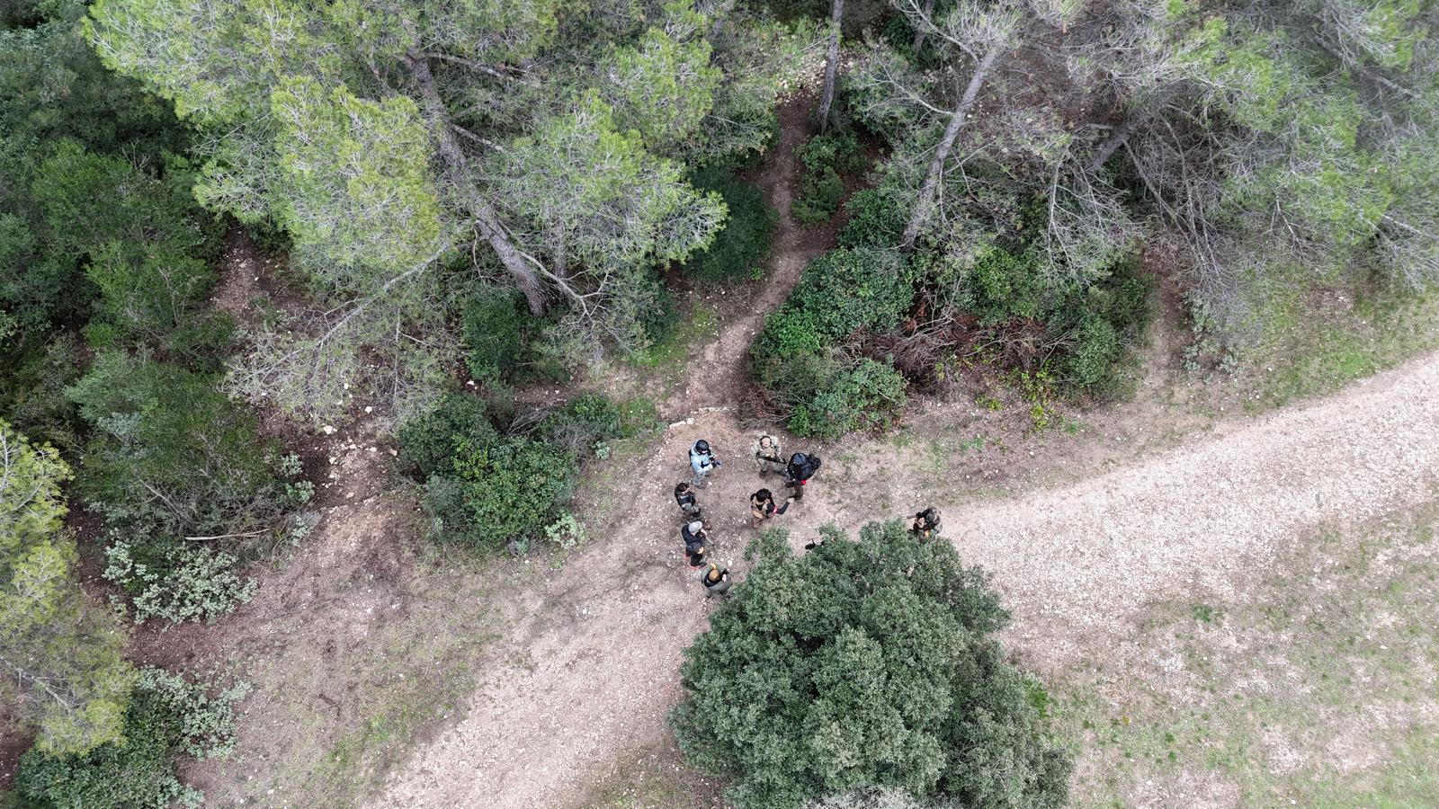 Sentiers forestiers du terrain